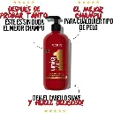 4.webp